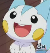 Pachirisu